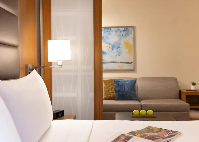 Motel: Hyatt Place Houston Downtown